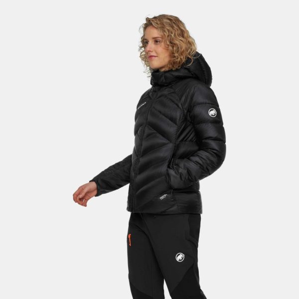 Mossyrockmercantile.shop7b83a8c616 3